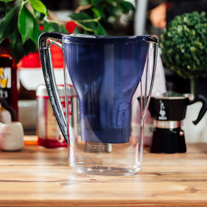 Water jug BWT 2.7L, blue